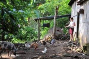 Latin America-Poverty & Inequality in Rural Life