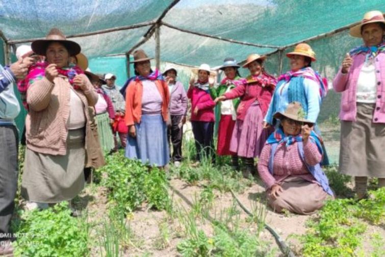 Peru - Community Solutions Combat Water Shortages in Highlands - Gender