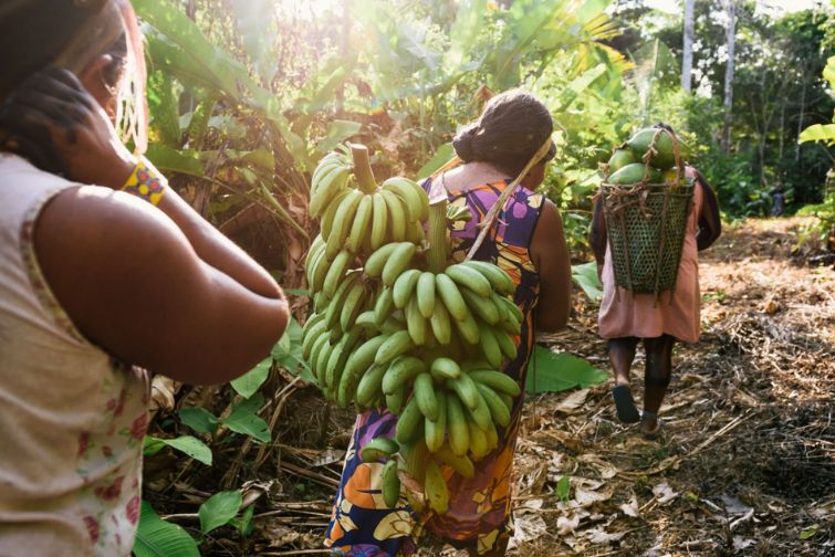 Amazon Women Keepers of the Rainforest