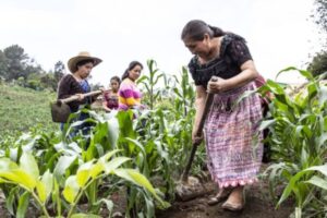 Latin America-Poverty & Inequality in Rural Life