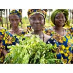 International Day of Rural Women 2025 - October 15