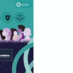 Behind the Numbers: Analyzing Police & Justice Data on Intimate Partner Violence - EIGE