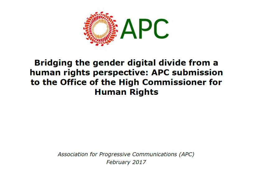 Bridging the Gender Digital Divide from a Human Rights Perspective
