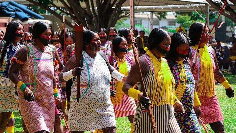 Violence against the Indigenous Peoples in Brazil