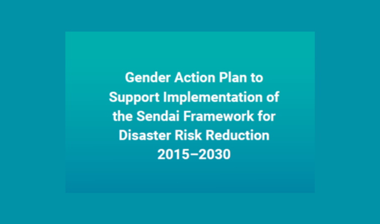 Gender Action Plan to Support Implementation of the Sendai Framework for Disaster Risk Reduction 2015-2030.