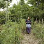 Elena Sam Pec lives in Puente Viejo, Guatemala, a mostly agrarian indigenous community. The women of the village participate in a joint program empowering more than 1,600 rural women to become economically self-reliant. Image: Ryan Brown/UN Photo