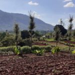 Rural land in Kenya