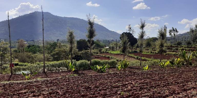 Rural land in Kenya