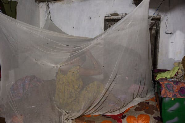 Sapana, 17, at home in Rapti Sonari, Nepal.Credit...Uma Bista for The New York Times