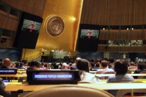 UN Permanent Forum on Indigenous Issues 2023 - Indigenous Women